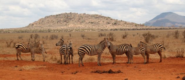 Afrique du Sud, Tour du Monde, Hémisphère Austral