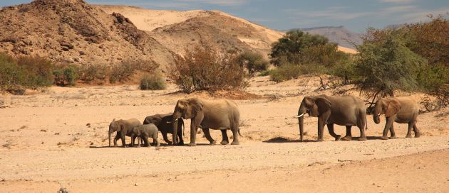 Namibie, circuit Tour du Monde des Sites Naturels