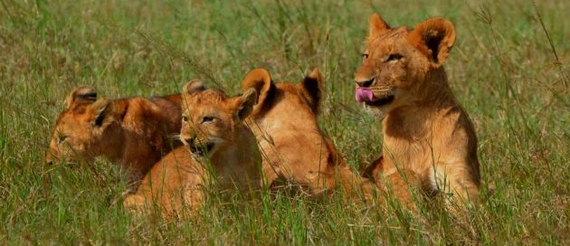 Okavango, circuit Tour du Monde des Sites Naturels