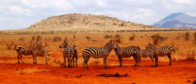 Namibie, circuit Tour du Monde des Sites Naturels