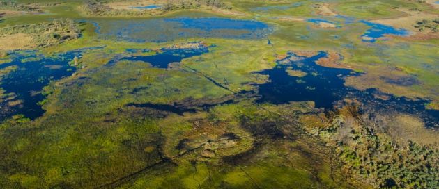 Delta de l'Okavango, Botswana, Tour du Monde