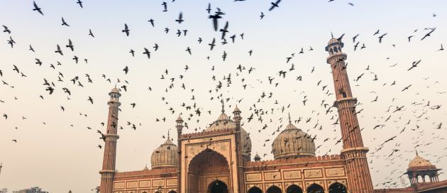 Inde, Tour du Monde, Terres de Contrastes