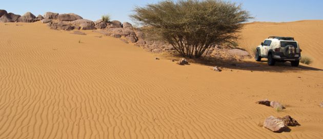 Dubai, Tour du Monde Contours du Monde