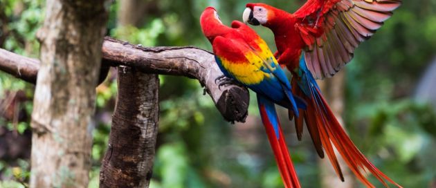 Costa Rica, Tours du Monde Contours du Monde