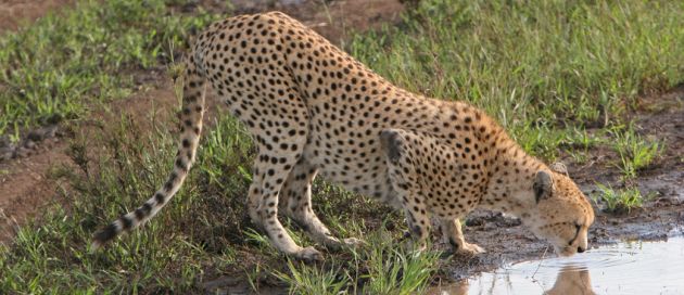 Afrique du Sud, Tour du Monde, Hémisphère Austral