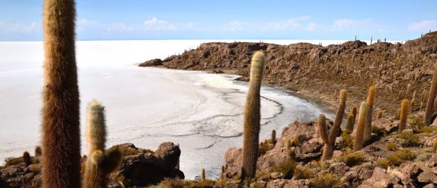 Circuit Bolivie et Pérou, Connaisseurs du voyage