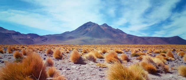 Désert d'Atacama, circuit Découverte du Chili