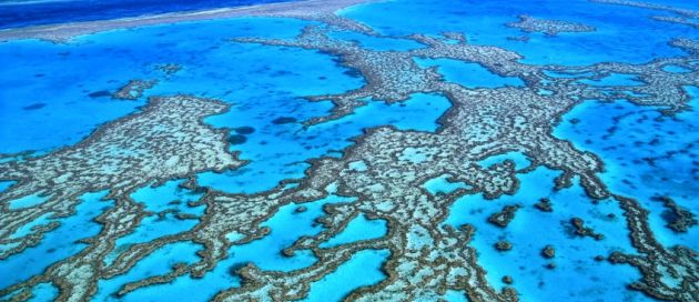Grande Barriere, Australie, Connaisseurs du Voyage