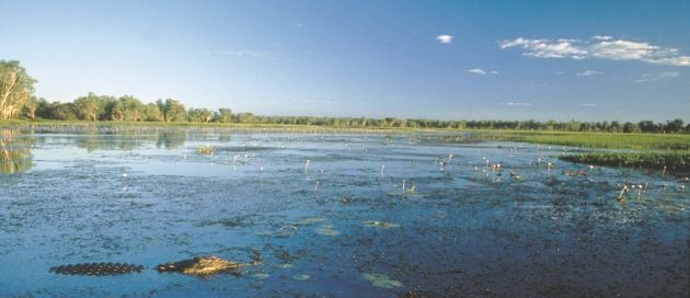 KAKADU, AUSTRALIE CONNAISSEURS DU VOYAGE